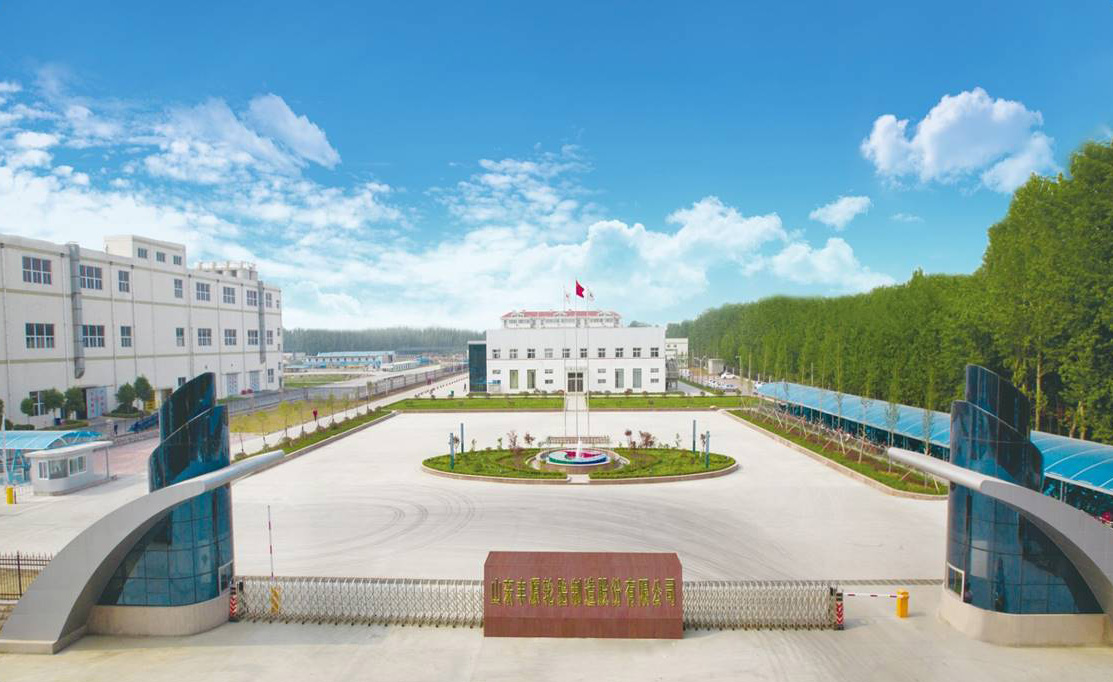 Shandong Fengyuan Tire Manufacturing Co.,Ltd (внешний вид завода Massimo)